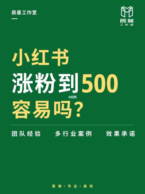 小红书半年涨粉600_小红书半年涨粉600万