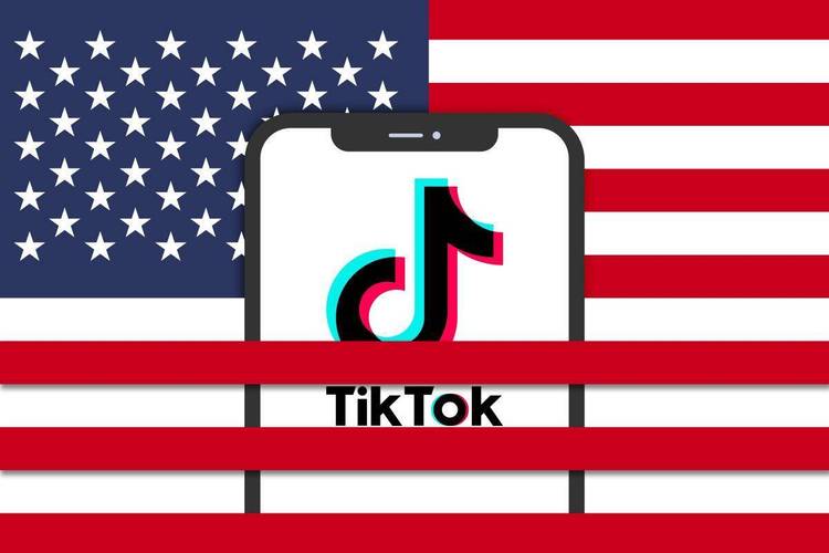 TikTok刷粉全网,TikTok刷粉全网：揭秘真相，带你探索无限可能!