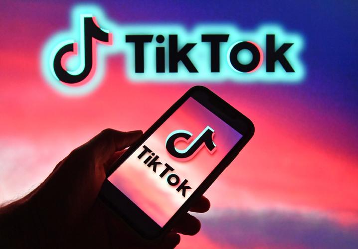 TikTok3元买粉,TikTok3元买粉的陷阱与真相!