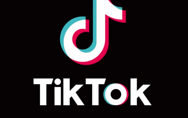 抖音国际TikTok刷赞大师