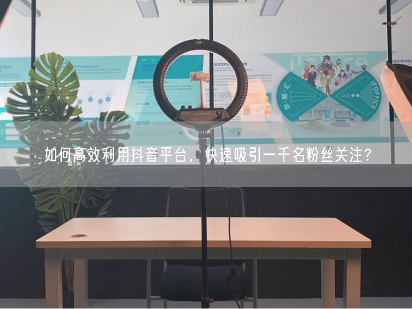 如何高效利用抖音平台，快速吸引一千名粉丝关注？