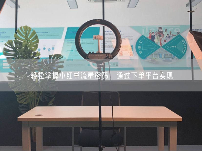 轻松掌握小红书流量密码,通过下单平台实现